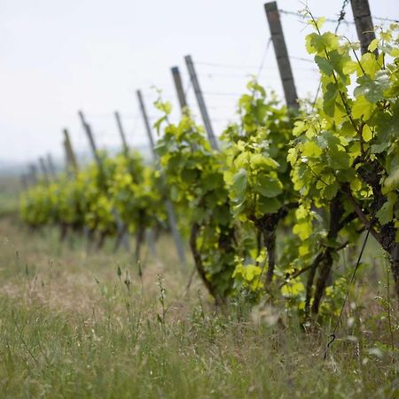 Hotel Weingut Schilling Seinsheim Exterior foto